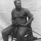 Cetshwayo, c 1875