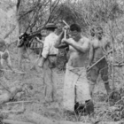 South Sea Island indentured labourers clearing scrub at Farnborough in 1895  